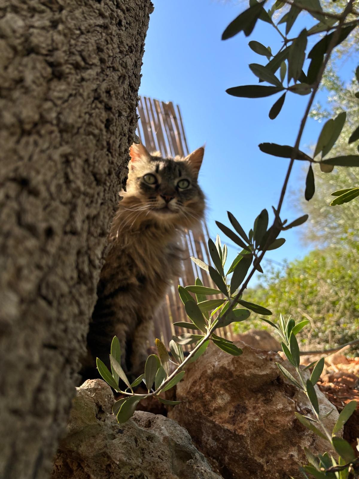 Kairos finca Mallorca