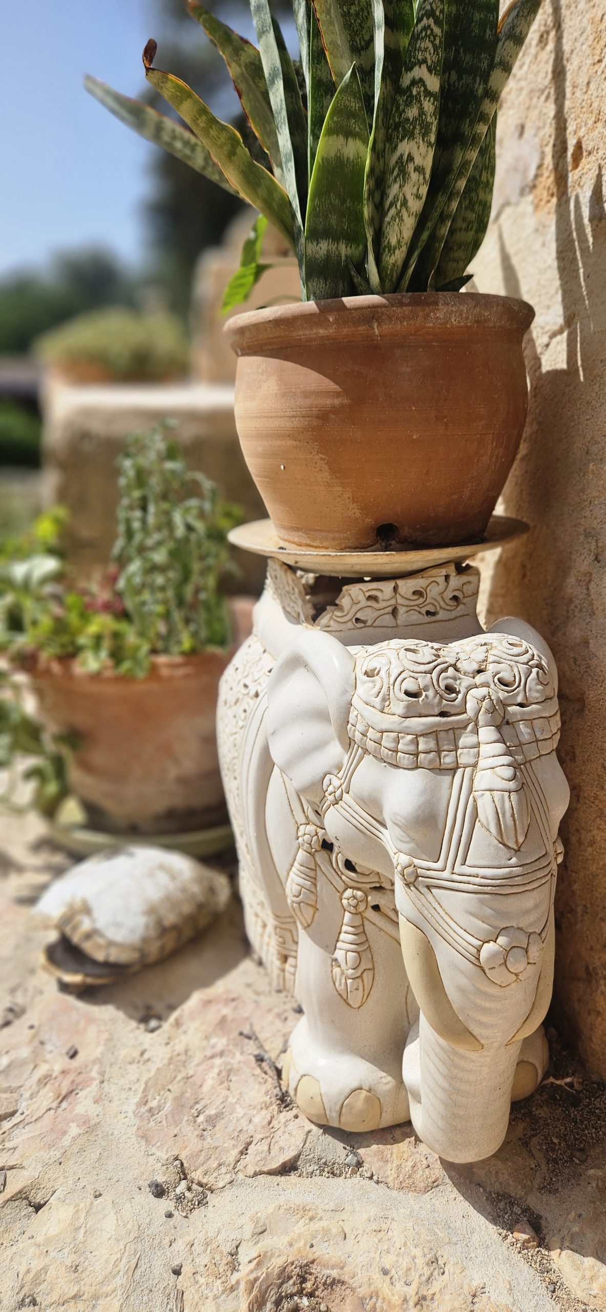 Kairos yoga retreat finca Mallorca