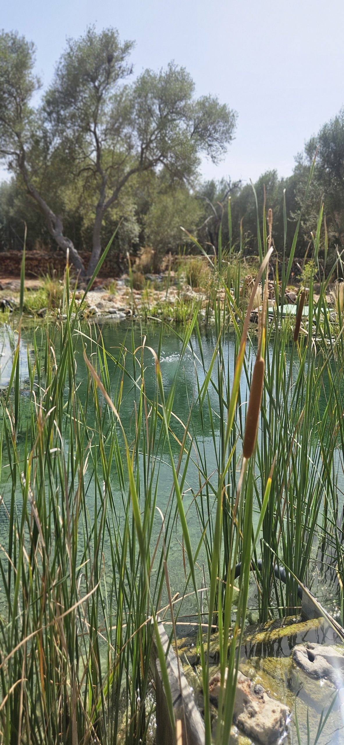 Kairos yoga retreat natural pool Costitx